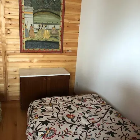 Bio-holzhaus Im Hunsrück Ferienhaus *
